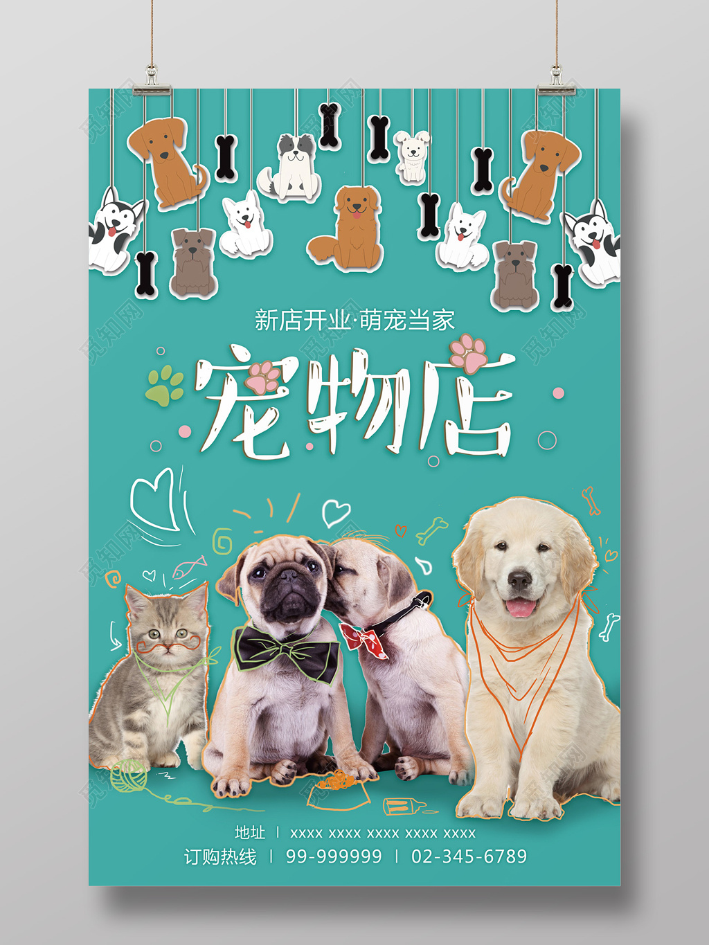 新店开业宠物店开业海报