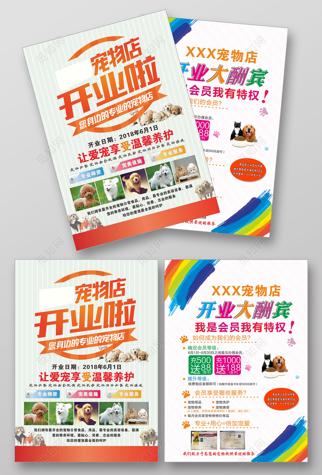 创意宠物店开业宣传单
