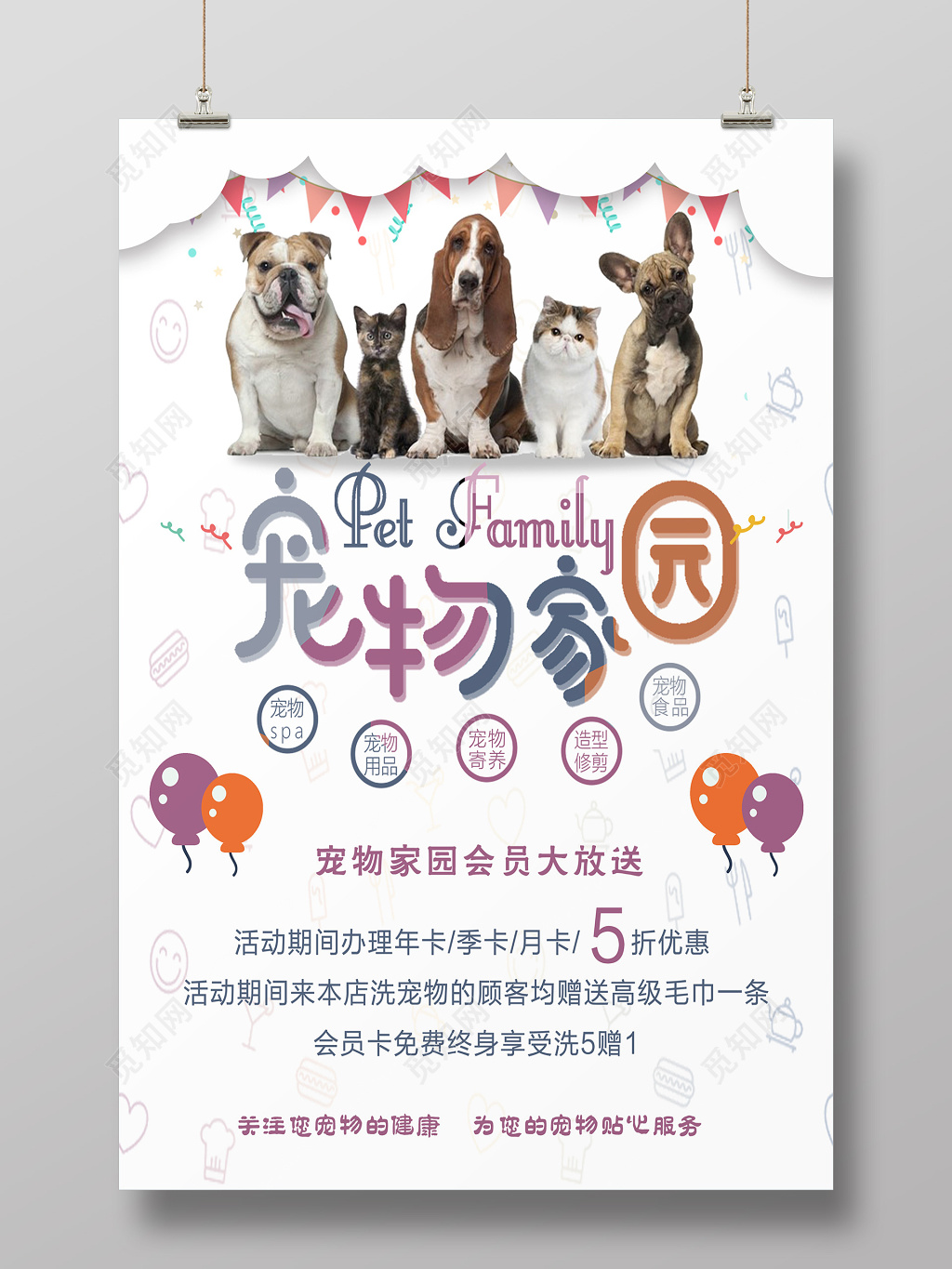 宠物家园宠物店开业海报