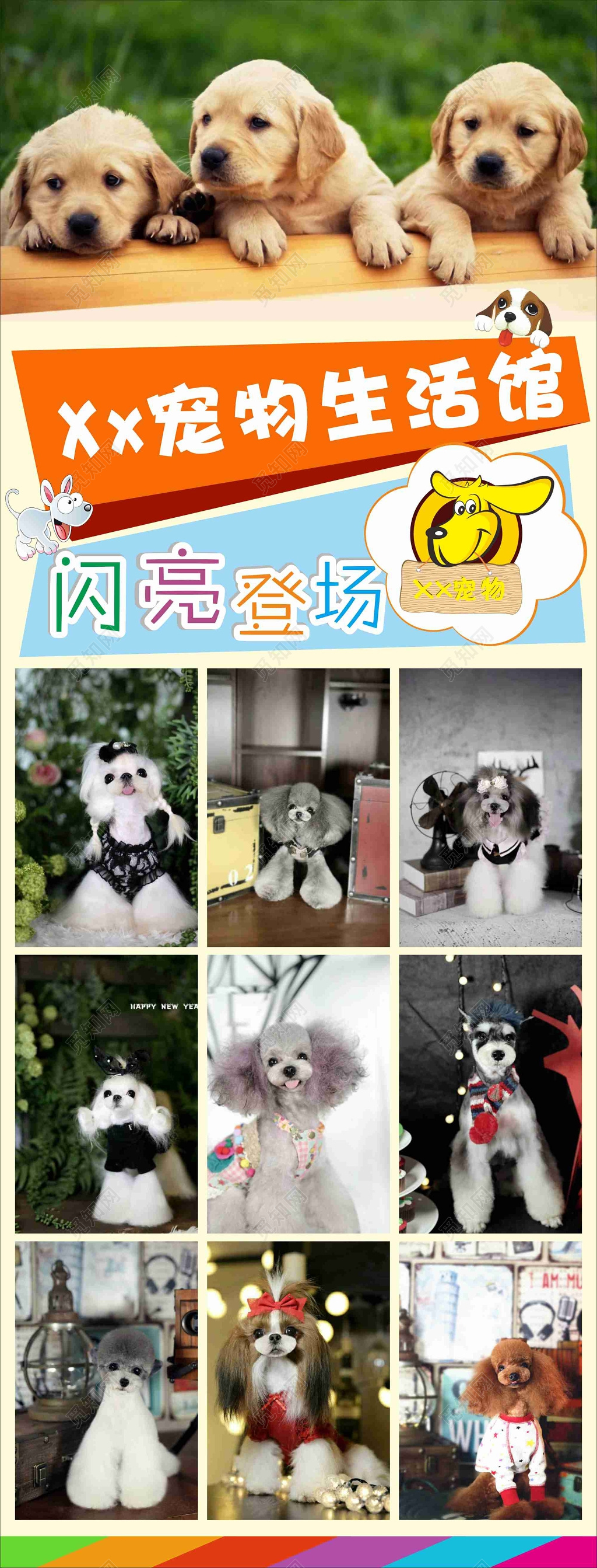 萌宠可爱宠物生活馆宠物店开业易拉宝展架