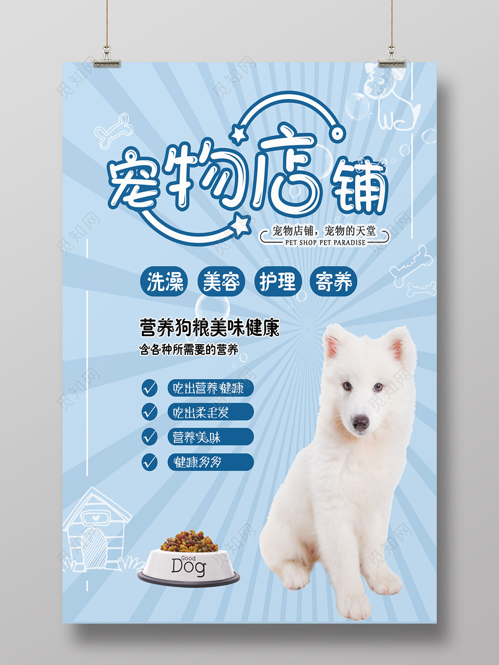 宠物店铺促销活动美容洗澡护理寄养宠物店开业海报