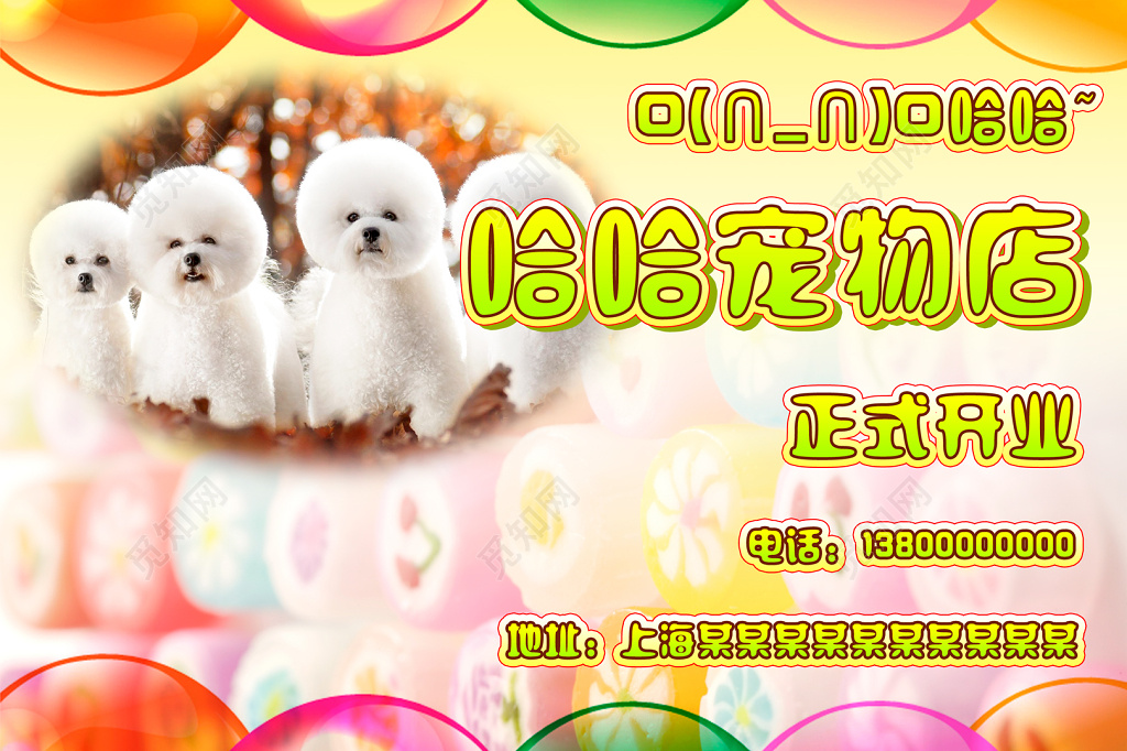 潮流可爱宠物店开业海报