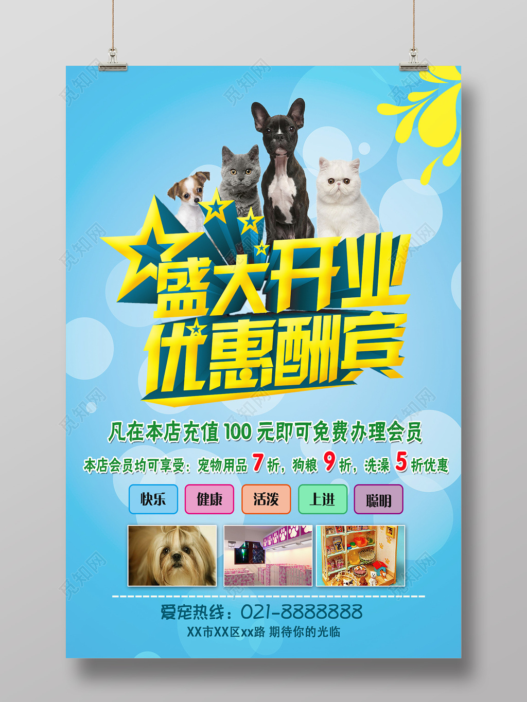 盛大开业优惠酬宾宠物店开业海报