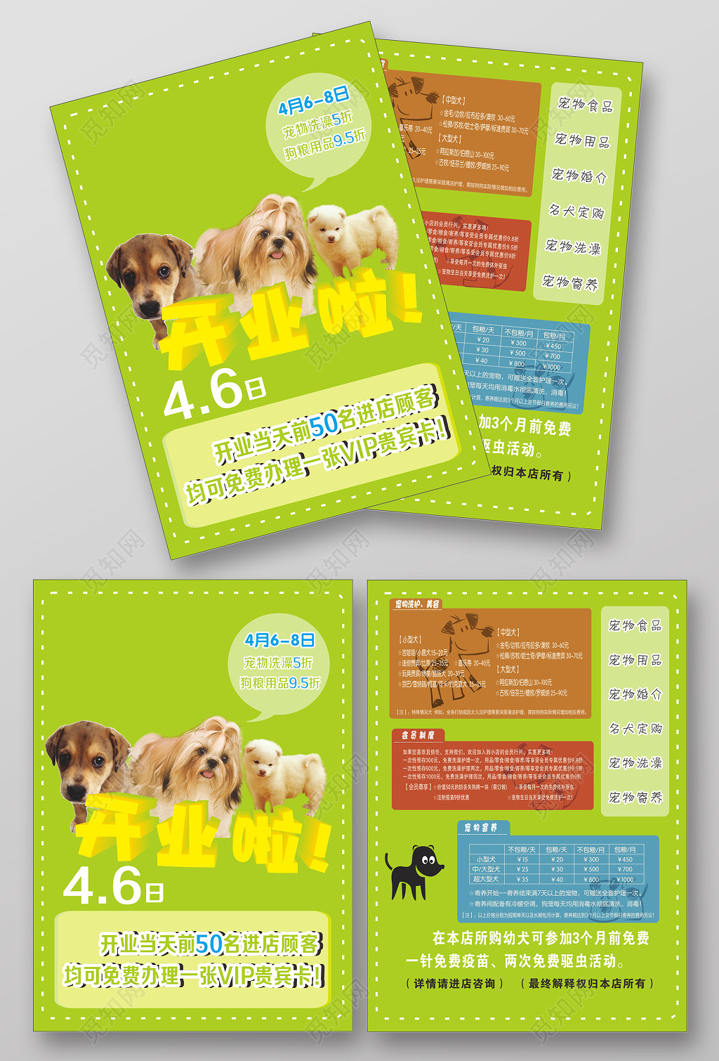 清新可爱萌宠宠物店开业宣传单