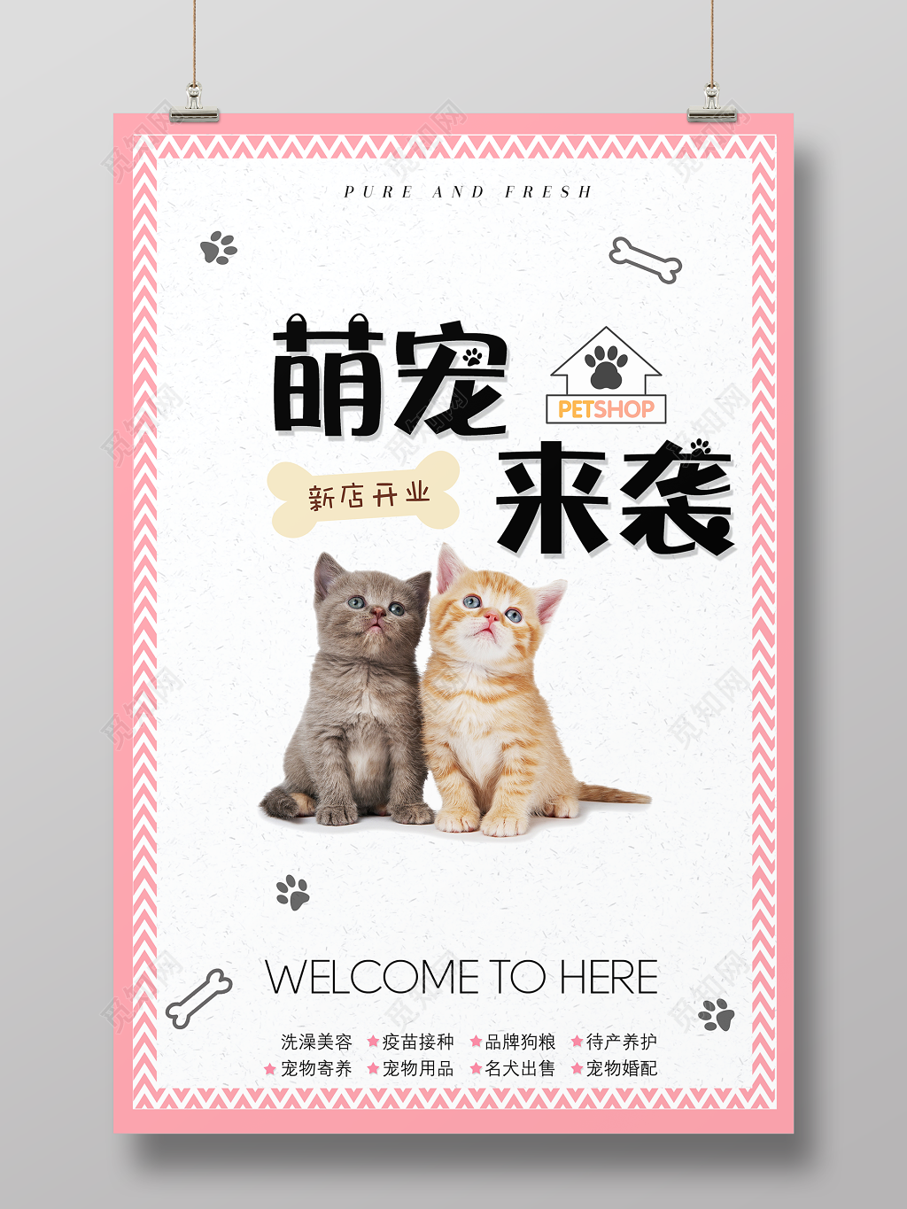 可爱风格萌宠来袭宠物店开业海报
