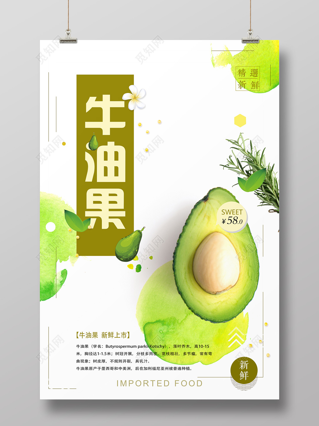新鲜牛油果水果海报设计