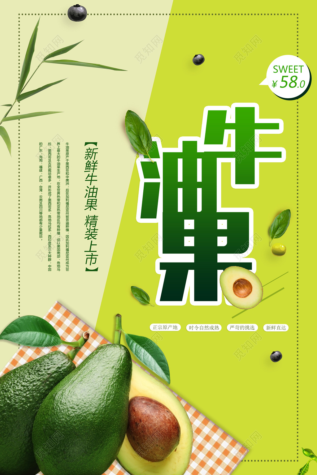 牛油果水果海报设计PSD