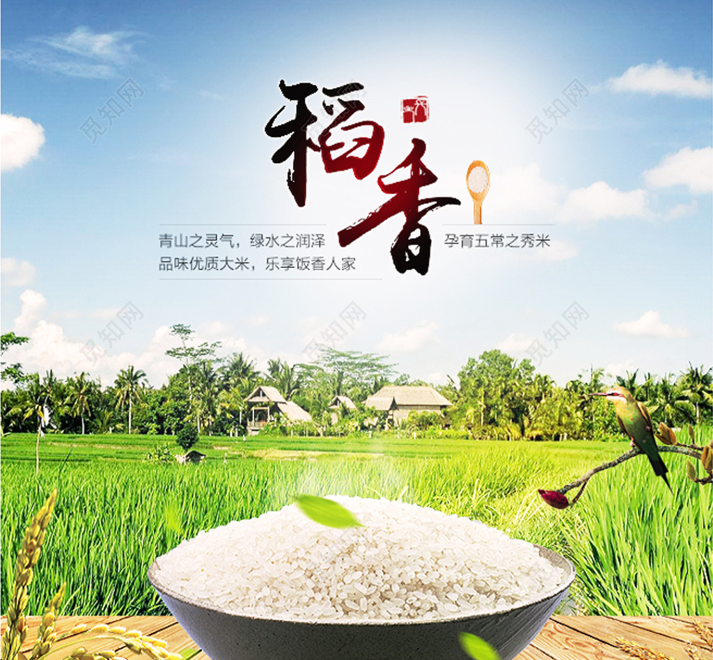 粮食产品海报模板