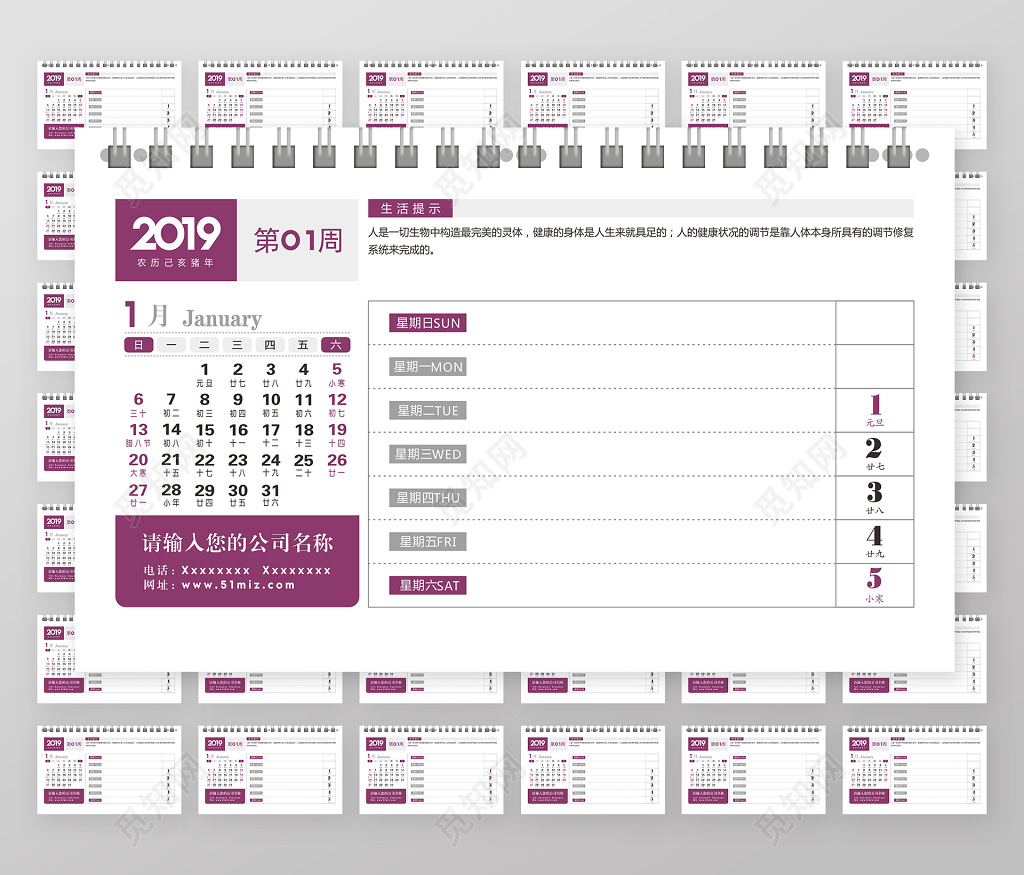 2019年猪年日历周历新年设计