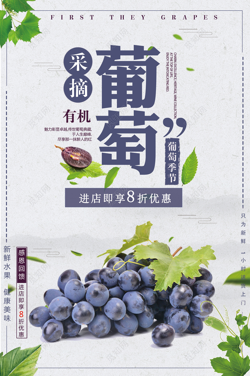 采摘有机葡萄新鲜水果促销宣传海报