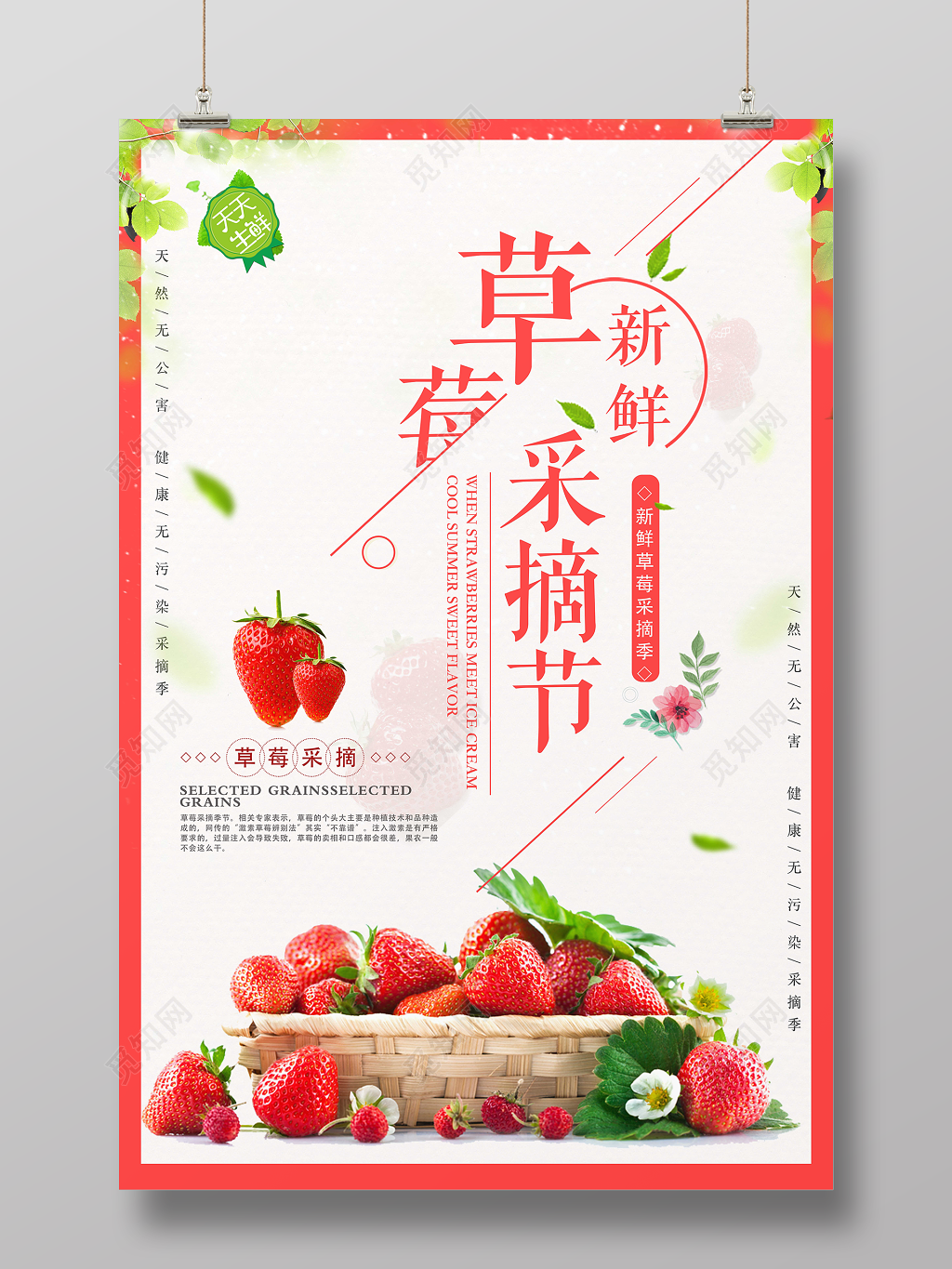 新鲜草莓采摘节水果生鲜宣传海报