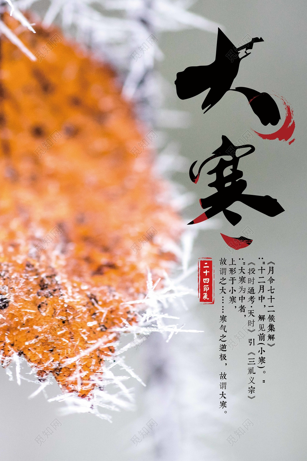 唯美风中国二十四节气之一大寒海报设计