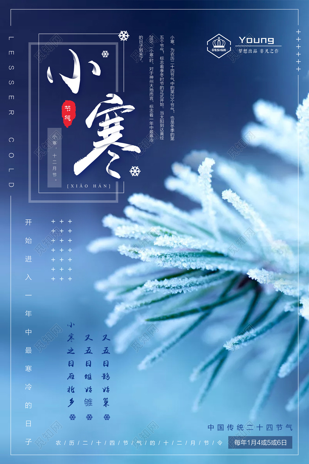 小寒二十四节气寒冷冰挂松树蓝色安静海报