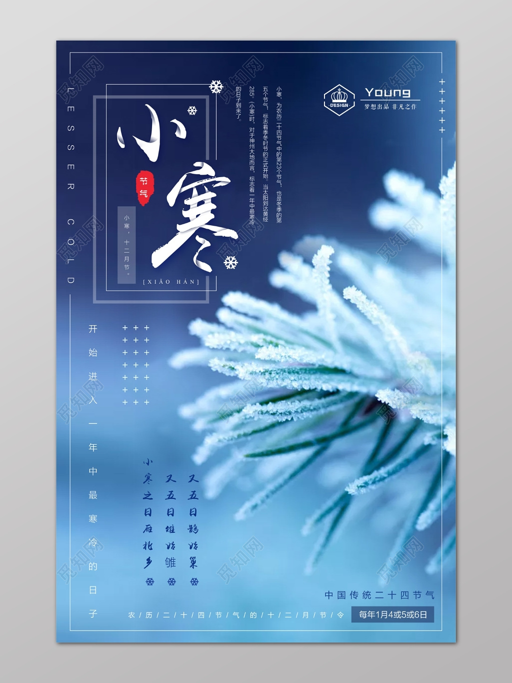 小寒二十四节气寒冷冰挂松树蓝色安静海报