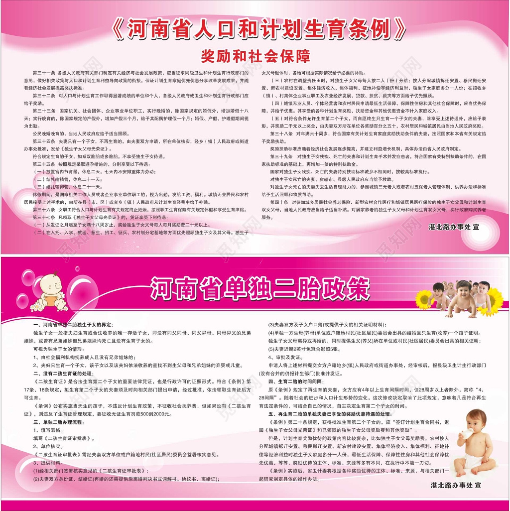  二胎政策解读二胎二孩 计划生育简约宣传模板