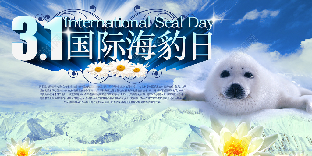 国际海豹日海豹日动物保护蓝天冰山海豹花海报