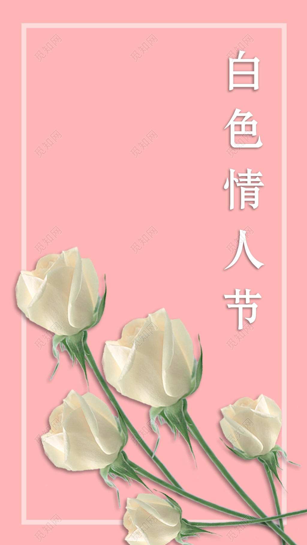 白玫瑰鲜花白色情人节设计海报