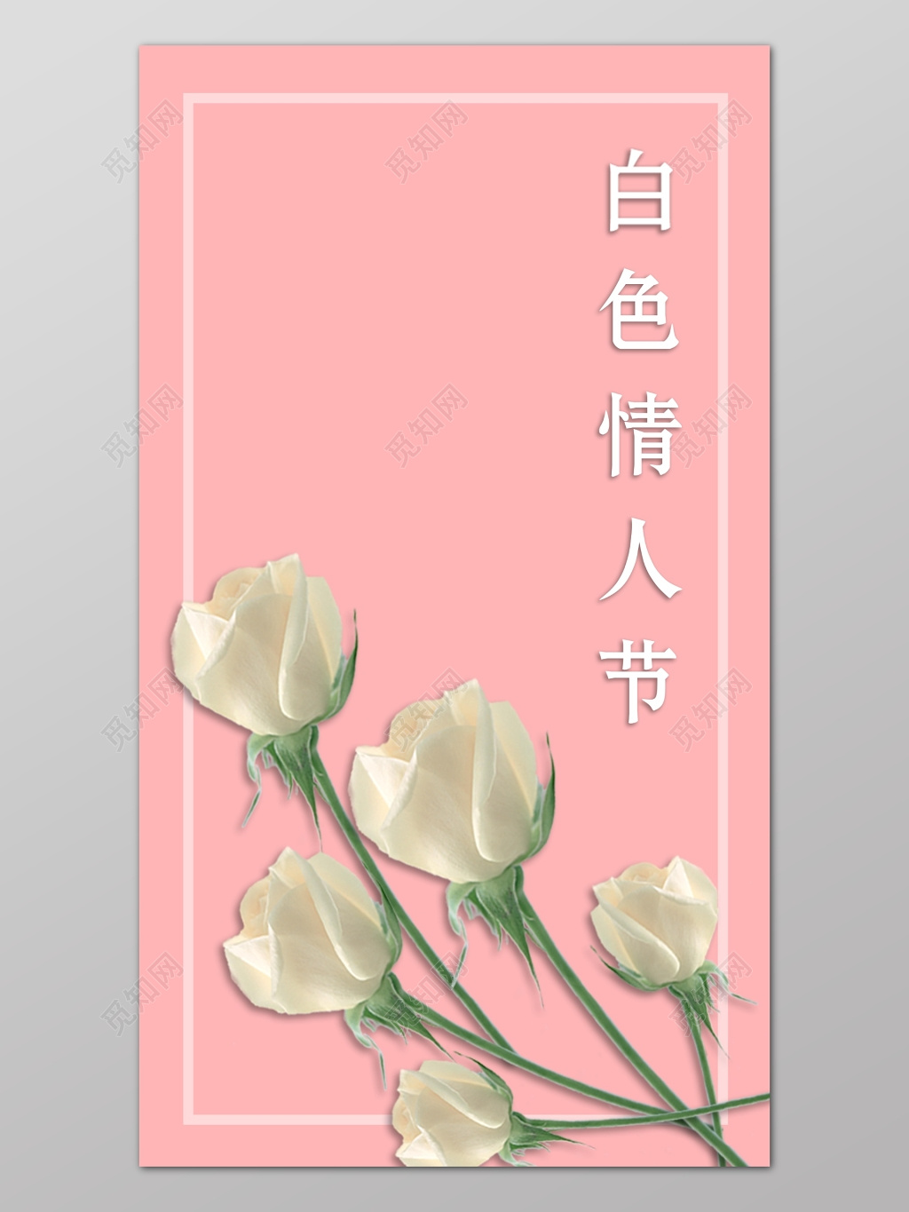 白玫瑰鲜花白色情人节设计海报