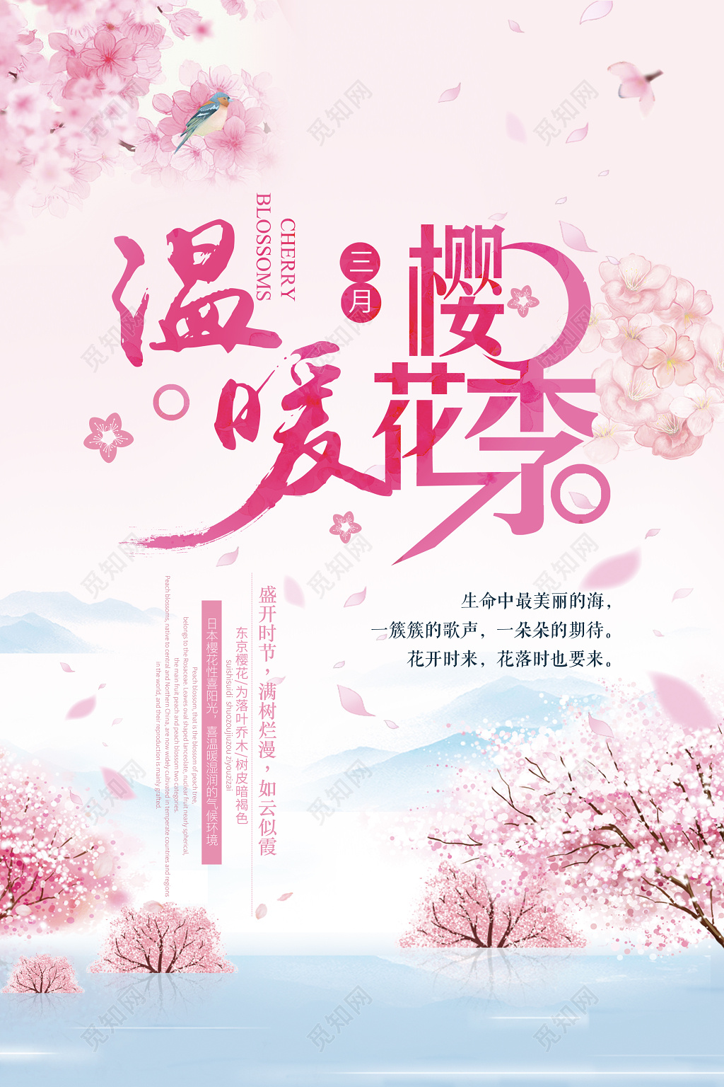 樱花季宣传温暖三月樱花季宣传海报