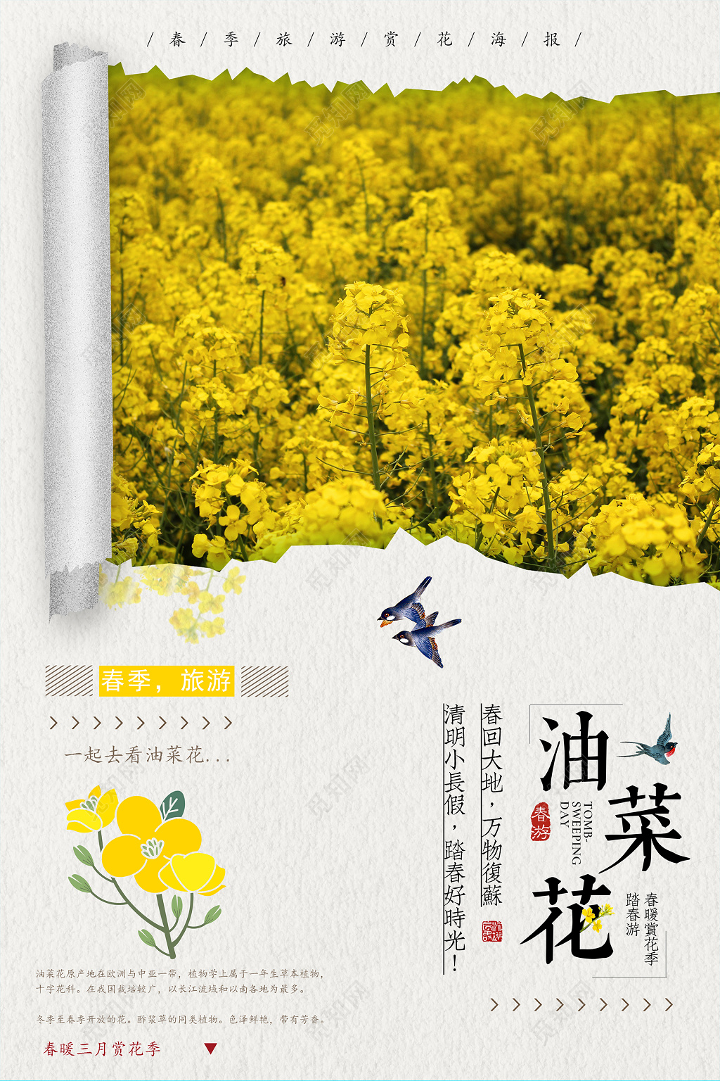 简约清新春季春天春游油菜花海报