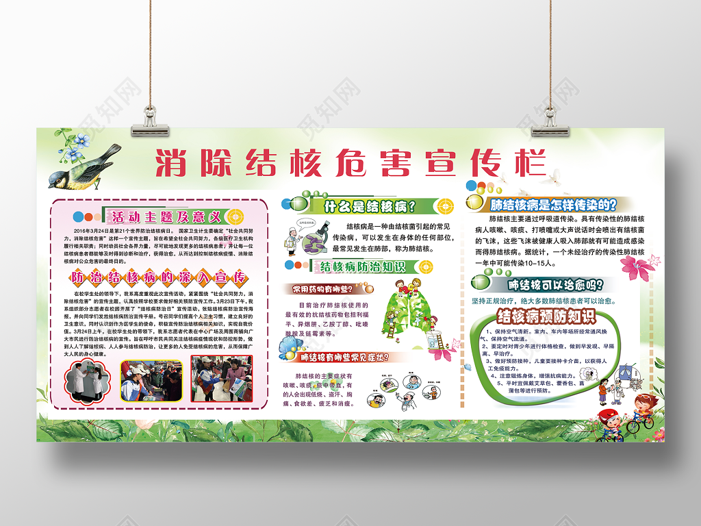 世界防治结核病日消除结核危害肺宣传展板
