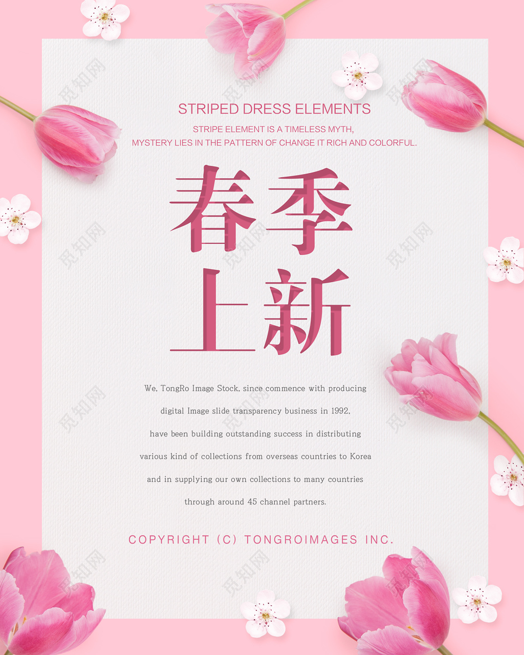 春季新品新品上市春季促销折扣粉色少女心简约郁金香小雏菊海报