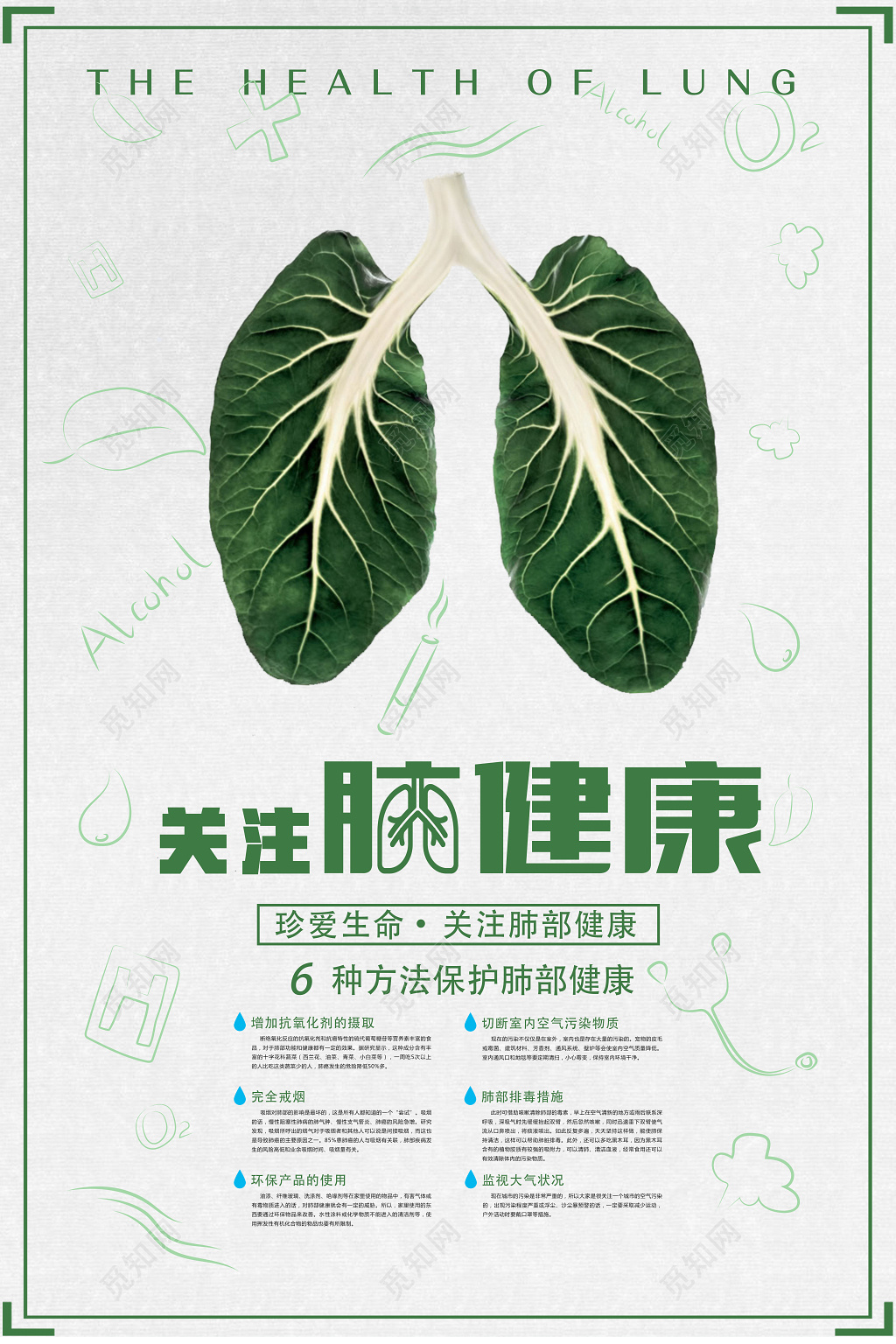 世界防治结核病日关注肺健康保护肺部公益宣传海报