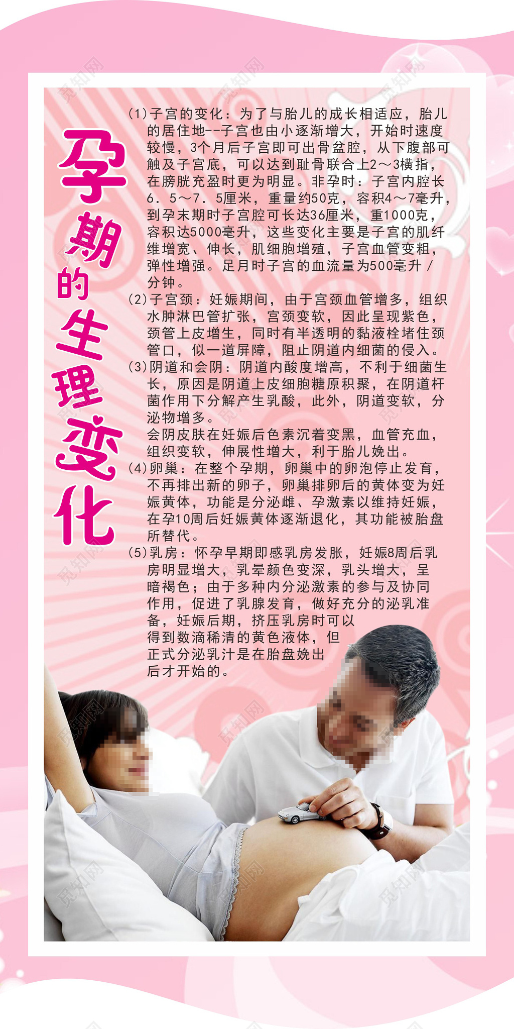 怀孕孕期新生儿知识科普系列海报