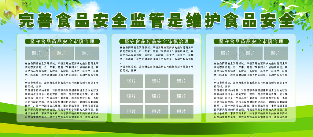 绿色完善食品药品安全监督维护食品安全审慎治理宣传栏