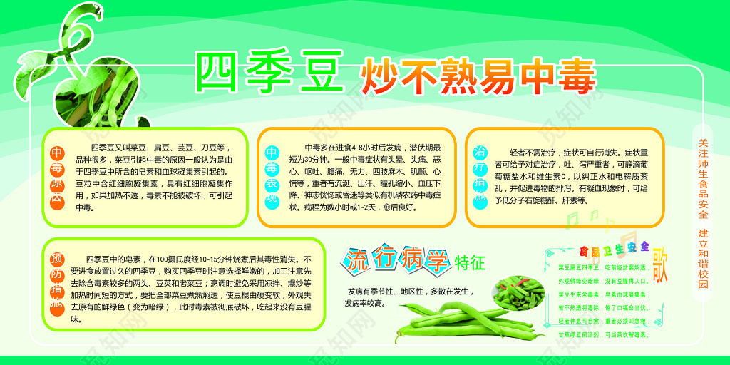 四季豆炒不熟易中毒食品安全宣传栏