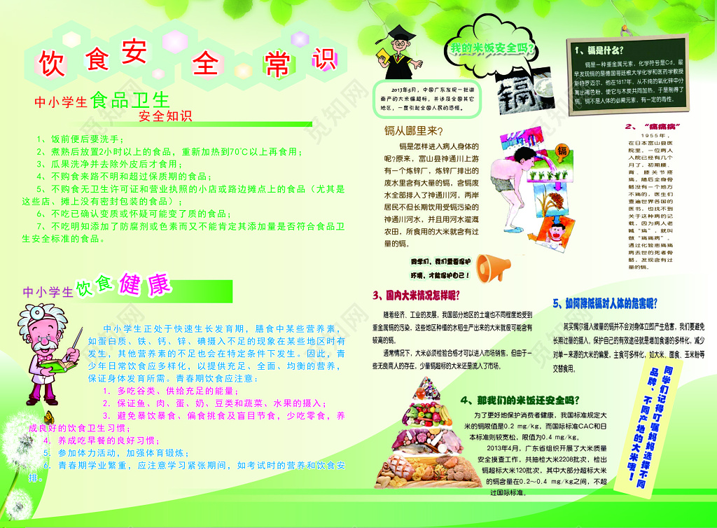 小清新食品安全饮食安全常识宣传栏