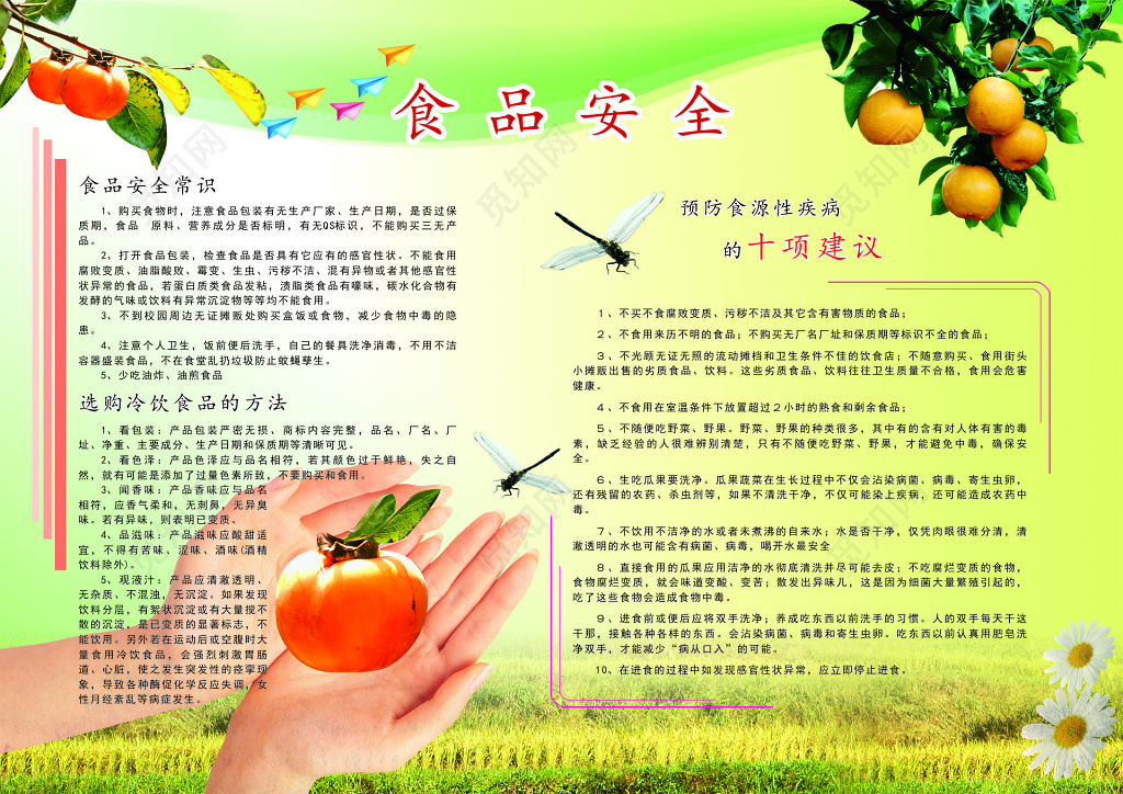 食品常识水果食品安全宣传栏