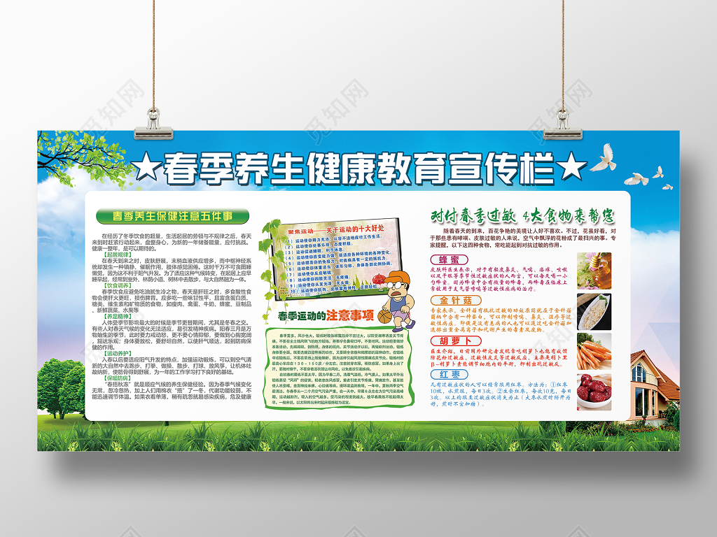 春季养生社区春天健康宣传栏设计