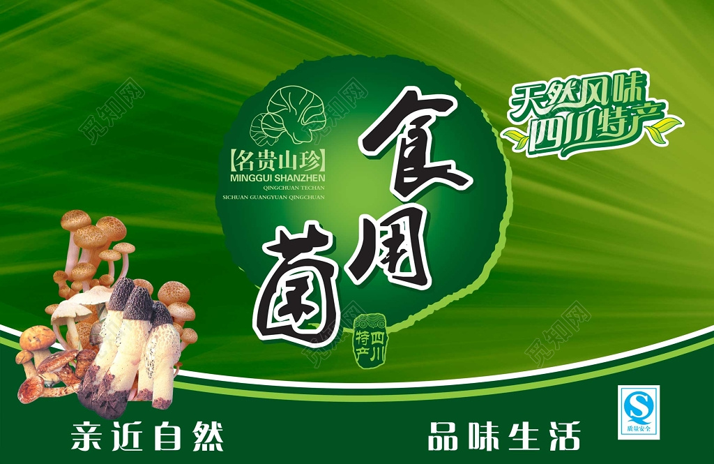 绿色食用菌食品海报