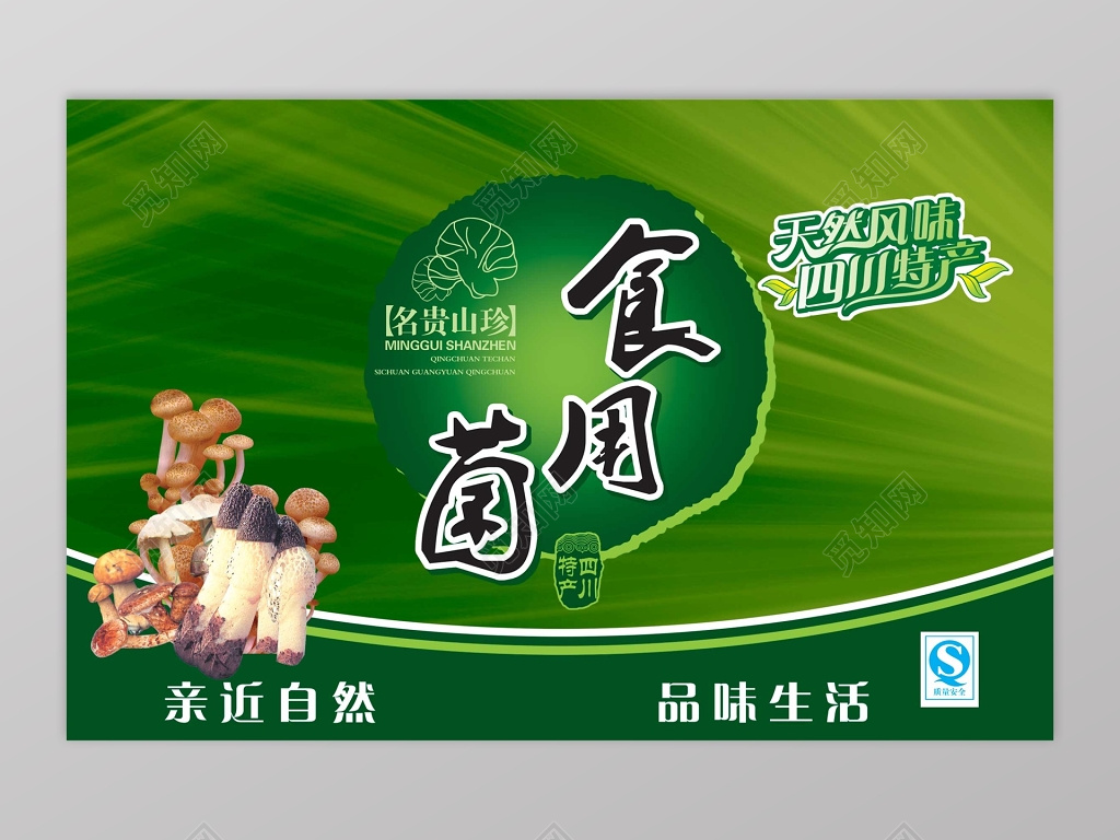 绿色食用菌食品海报