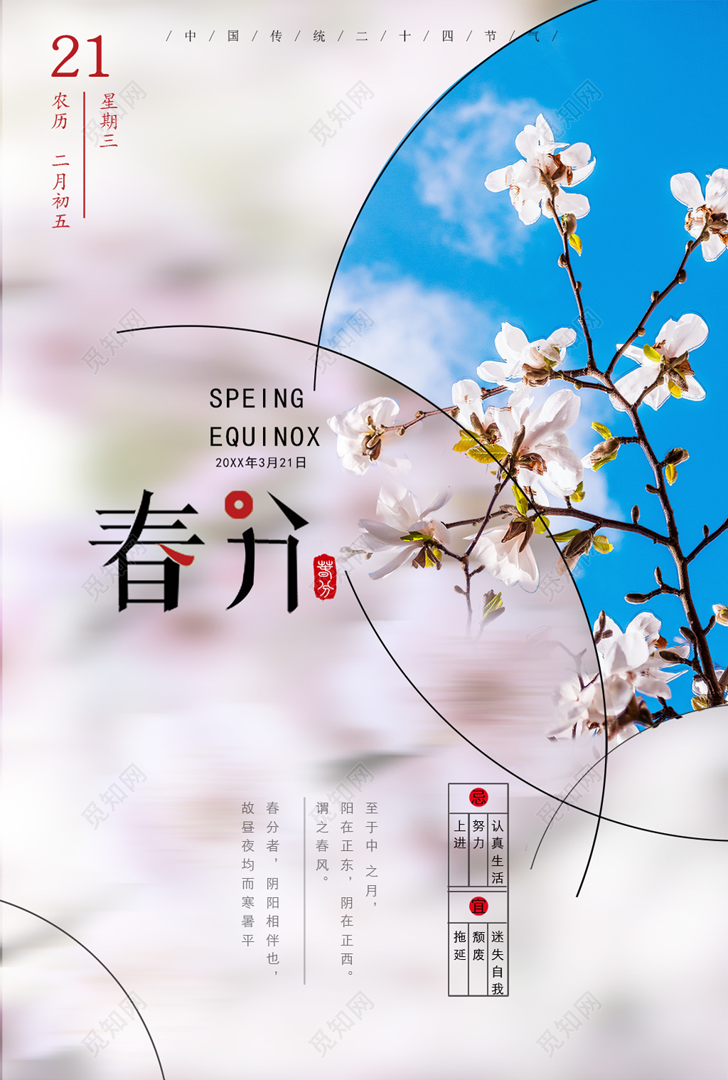 桃花二十四节气春分春天海报