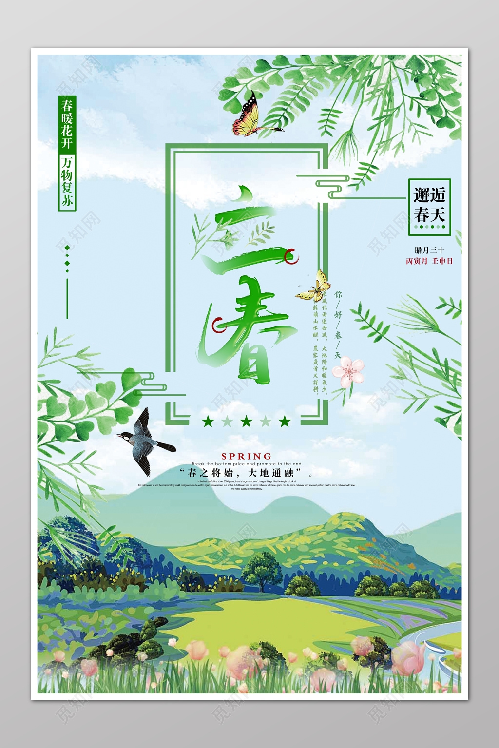 二十四节气立春春天手绘山鸟植物海报