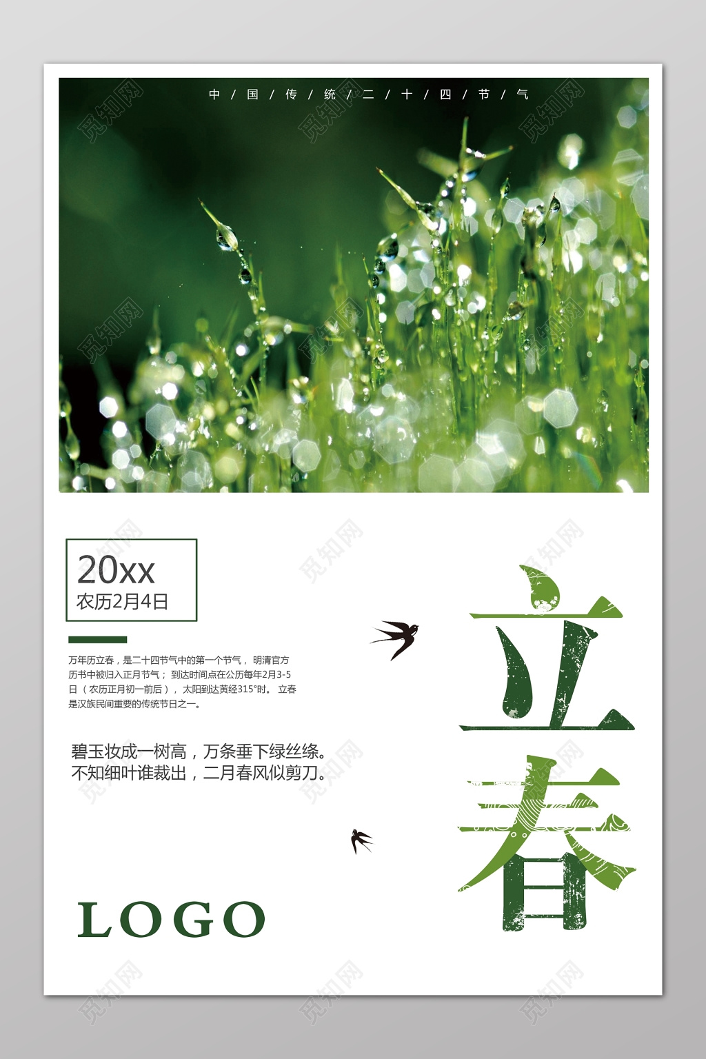 二十四节气立春春天青草露珠简约海报