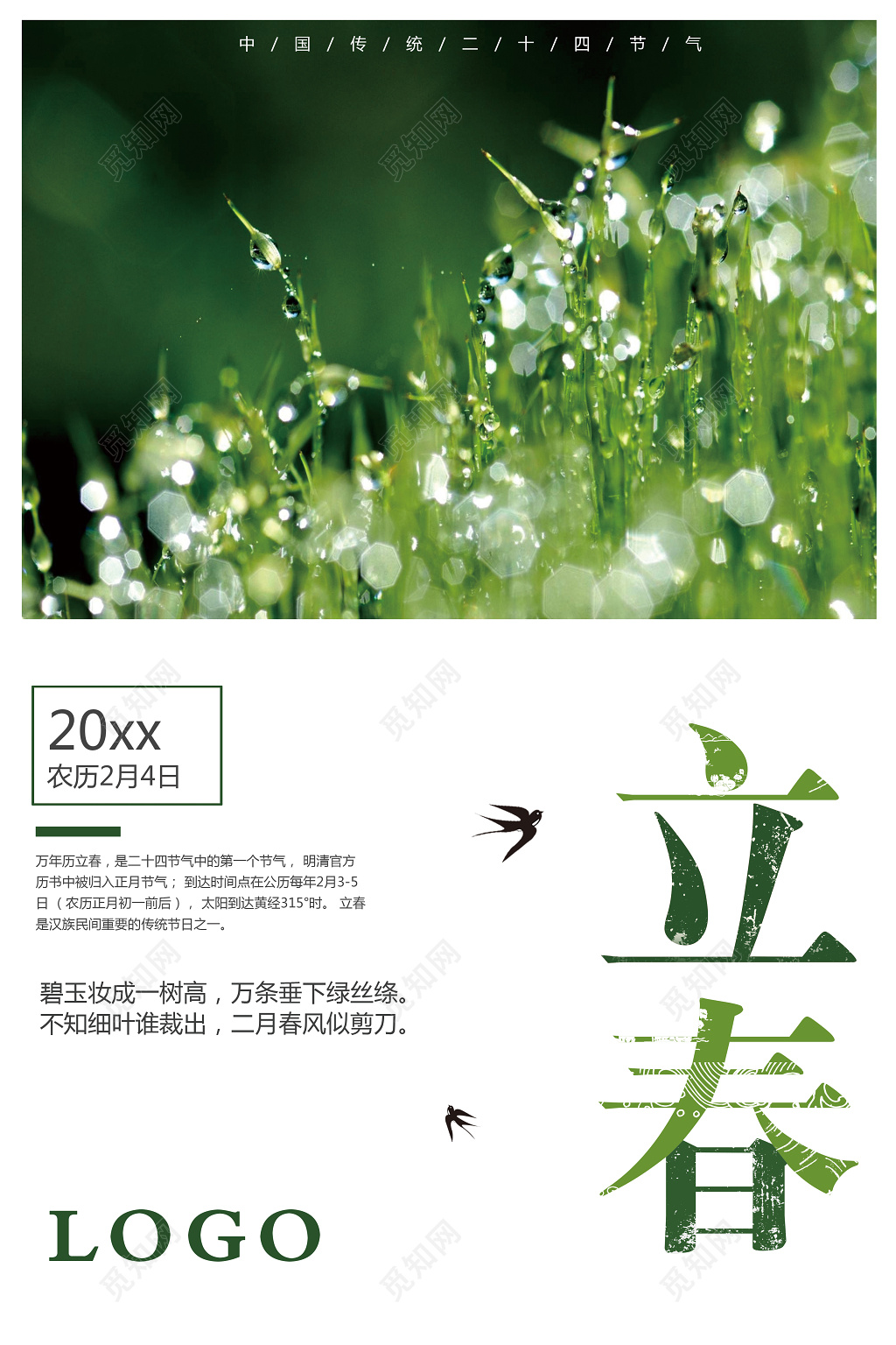 二十四节气立春春天青草露珠简约海报