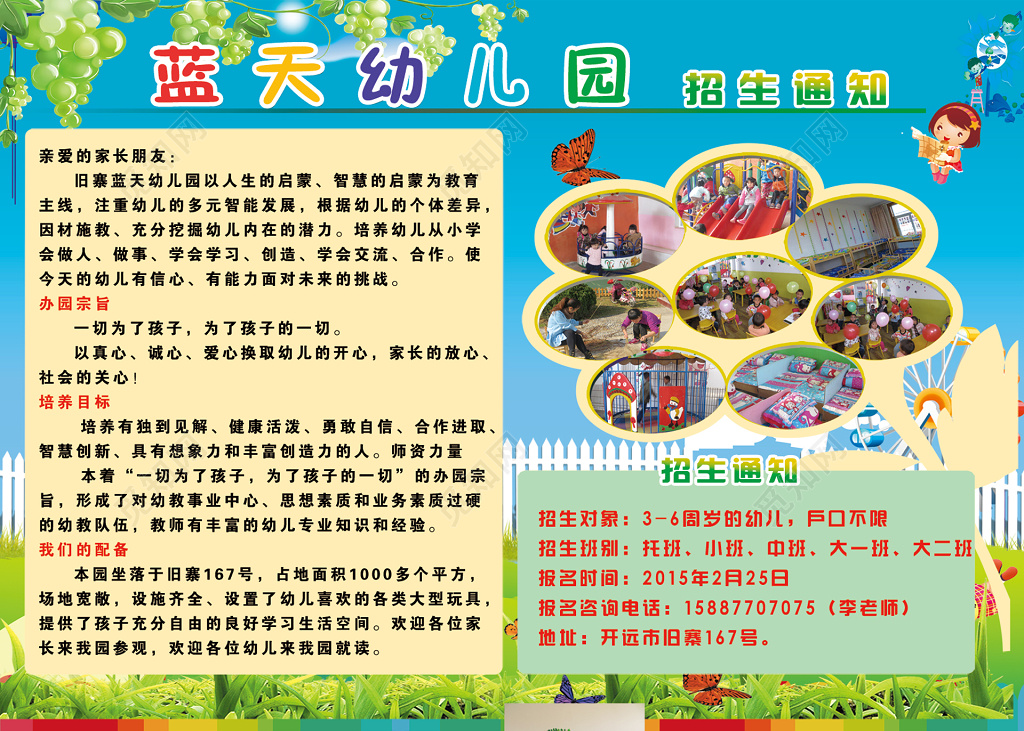幼儿园招生简章蓝色葡萄藤蔓小草蝴蝶海报