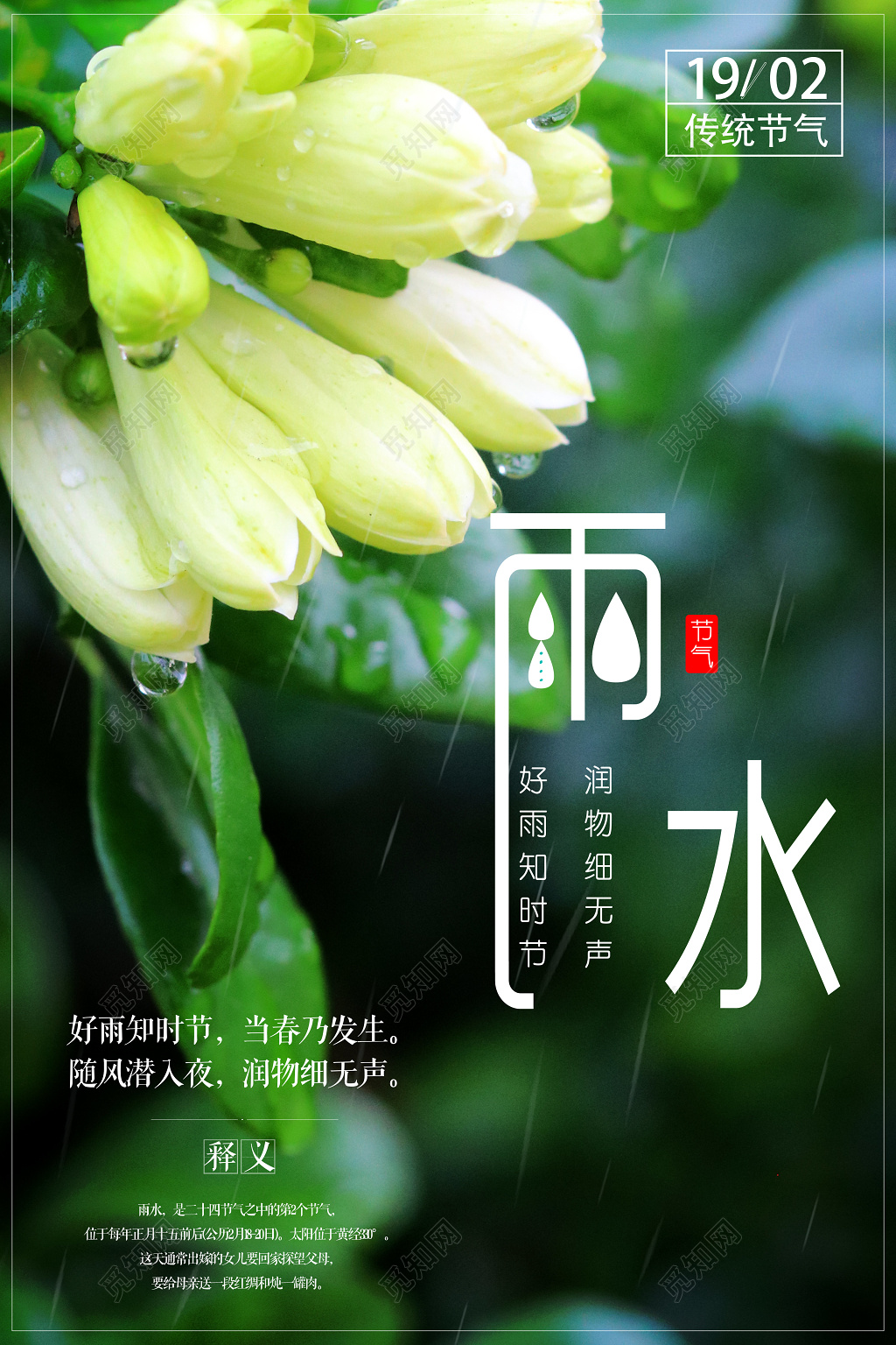 唯美清新配图二十四节气雨水节日海报