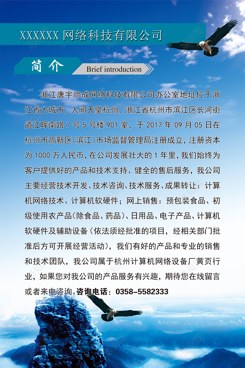 网络科技公司简介技术支持健全售后蓝色宣传栏