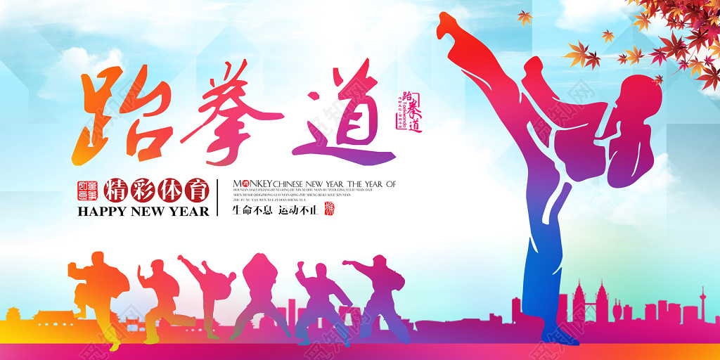 精彩体育跆拳道宣传海报