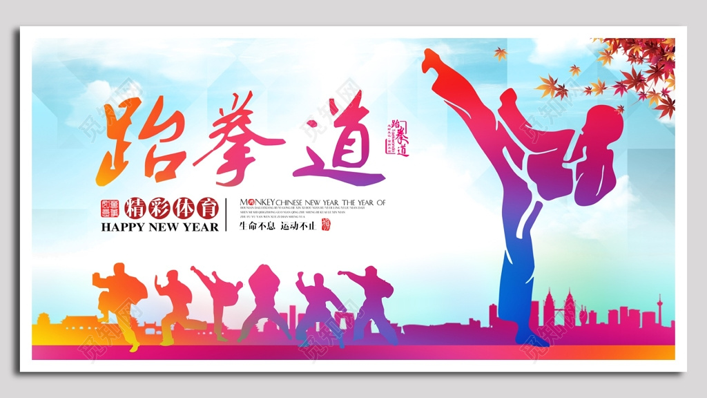 精彩体育跆拳道宣传海报