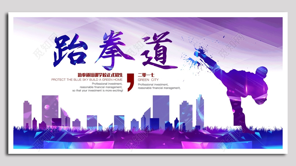 跆拳道培训学校正式招生海报