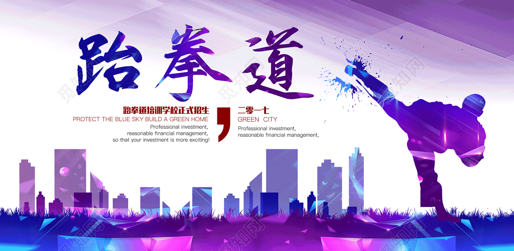 跆拳道培训学校正式招生海报