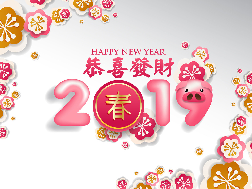 粉色鲜花新春猪年恭喜发财海报