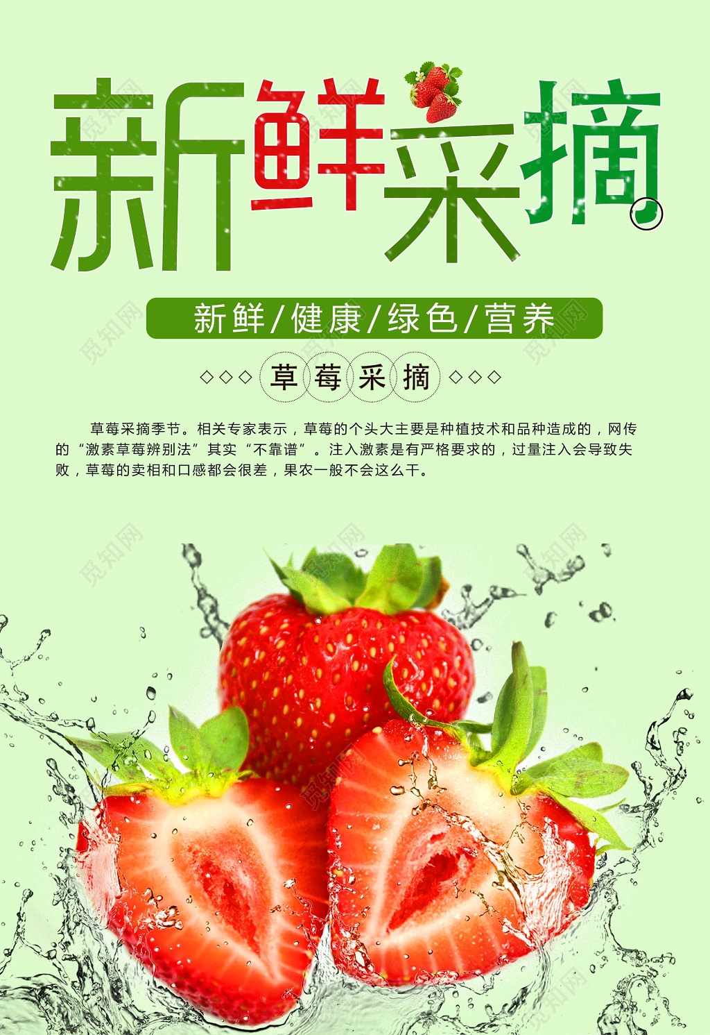 绿色清新新鲜水果草莓采摘宣传促销海报