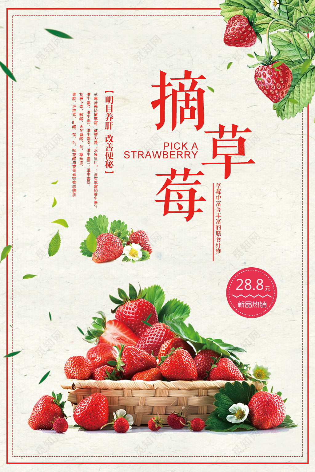一起摘草莓水果促销宣传海报设计