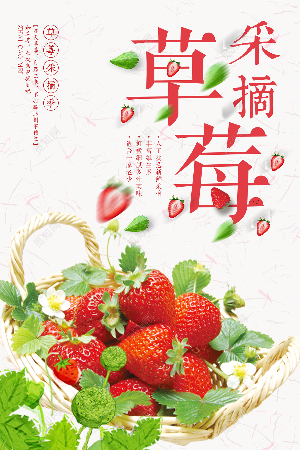 新鲜草莓采摘季水果宣传促销海报